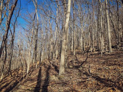 Property in Randolph County, West Virginia