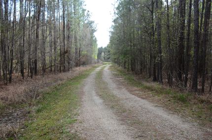 Property in Livingston Parish, Louisiana