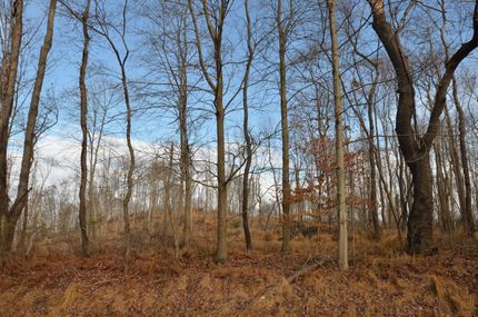 Property in Armstrong County, Pennsylvania