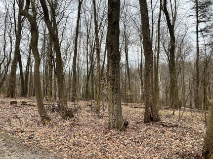 Property in Ashland County, Ohio