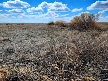 Property in Weld County, Colorado