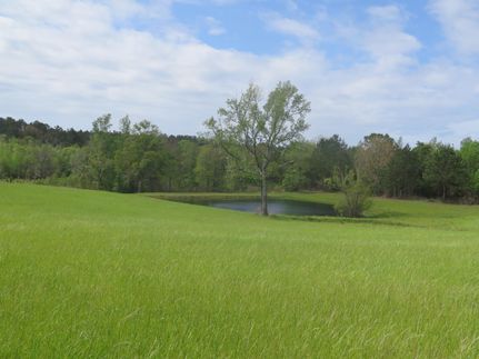 Property in Wayne County, Mississippi