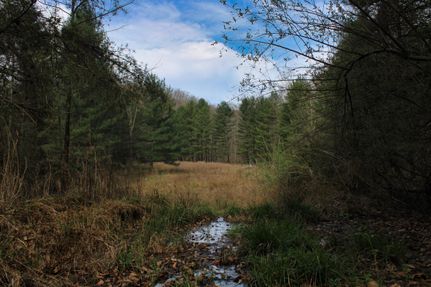 Property in Knott County, Kentucky