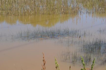 Property in Rapides Parish, Louisiana