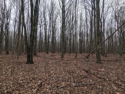 Property in Ashtabula County, Ohio