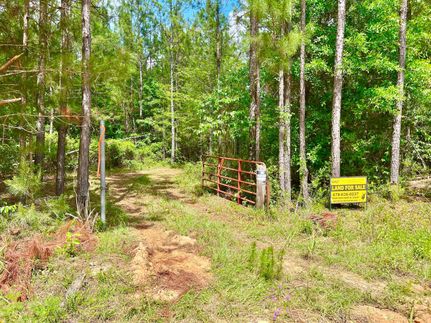 Property in Telfair County, Georgia