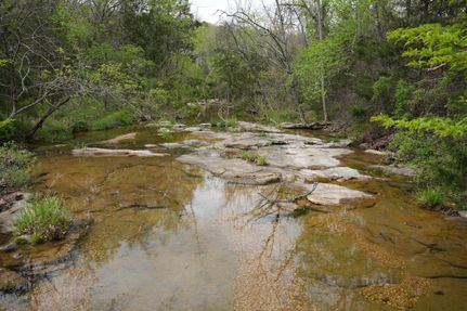 Property in Douglas County, Missouri