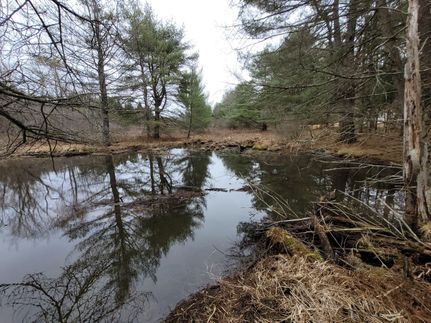 Property in Otsego County, New York