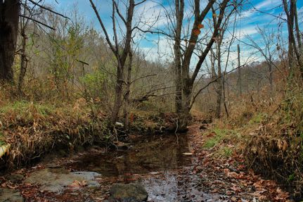 Property in Lawrence County, Kentucky