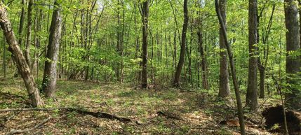 Property in Blair County, Pennsylvania