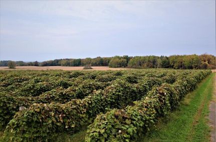 Property in Erie County, New York