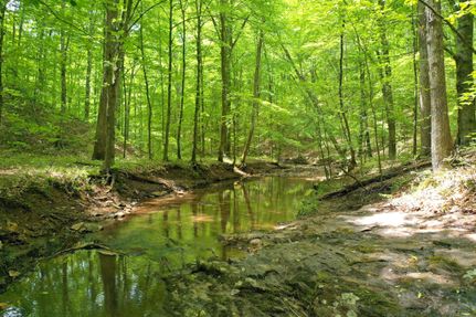 Property in Nelson County, Virginia