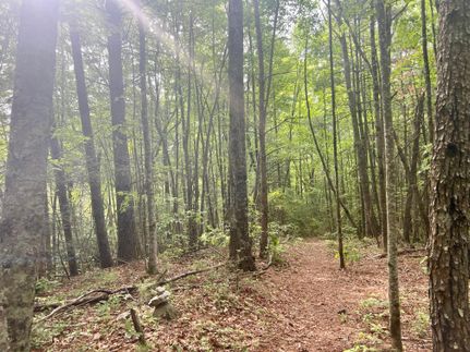 Property in Carter County, Tennessee