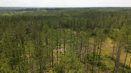 Property in Washington County, Alabama