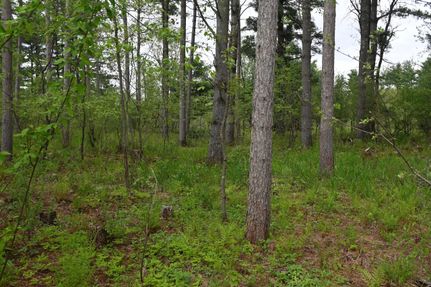 Property in Dunn County, Wisconsin