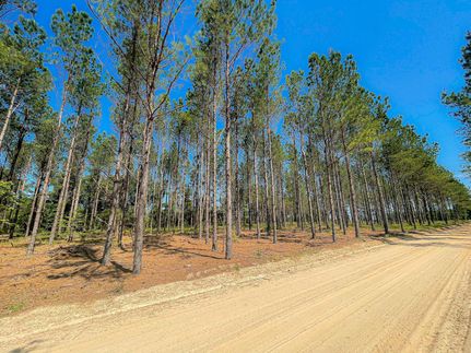 Property in Dillon County, South Carolina