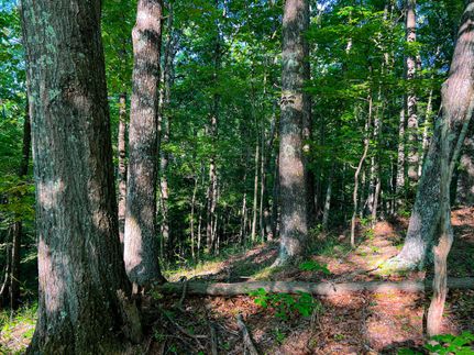 Property in Tyler County, West Virginia