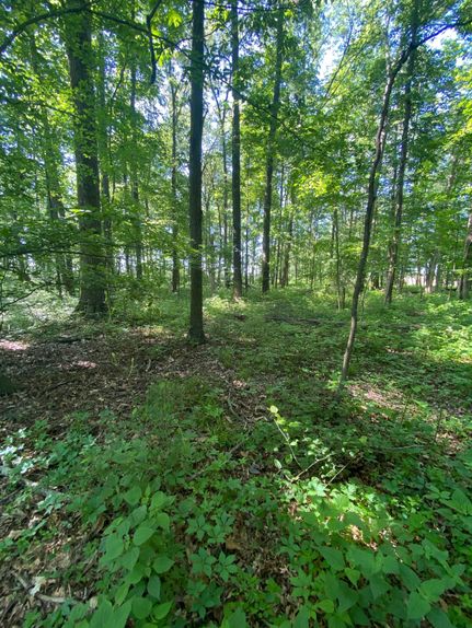 Property in Brown County, Ohio