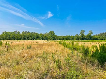 Property in Dillon County, South Carolina