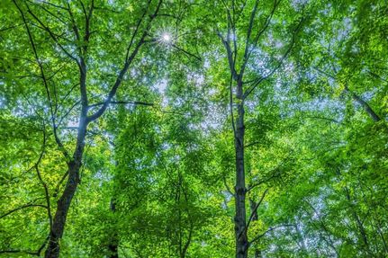 Property in Jackson County, Tennessee