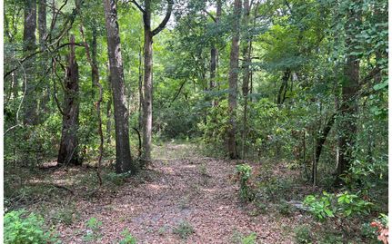 Property in Suwannee County, Florida