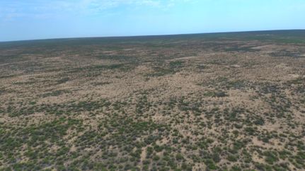 Property in Reeves County, Texas