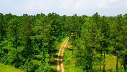 Property in Jefferson County, Georgia