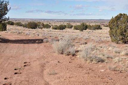 Undeveloped Land for sale in Navajo County, Arizona
