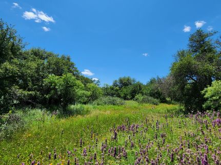Hunting Land for sale in Comanche County, Texas