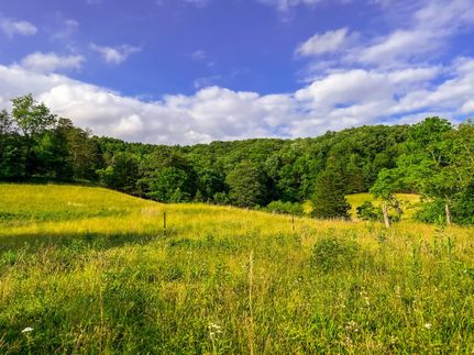 Property in Ritchie County, West Virginia