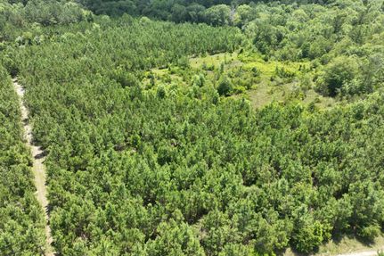 Property in Telfair County, Georgia