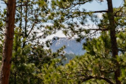 Property in Custer County, South Dakota