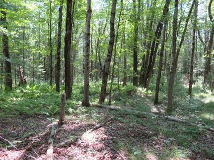 Property in Oswego County, New York