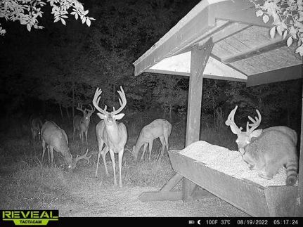 Property in Hopkins County, Kentucky