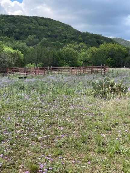 Property in Real County, Texas