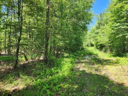 Property in Nevada County, Arkansas