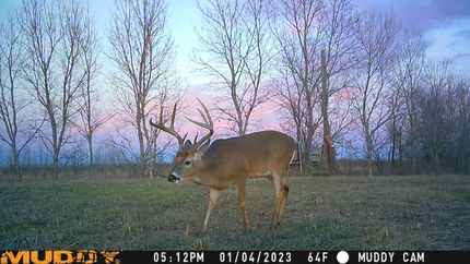 Property in Humphreys County, Mississippi