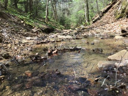 Property in Buchanan County, Virginia