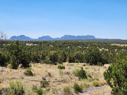 Property for sale in Catron County, New Mexico