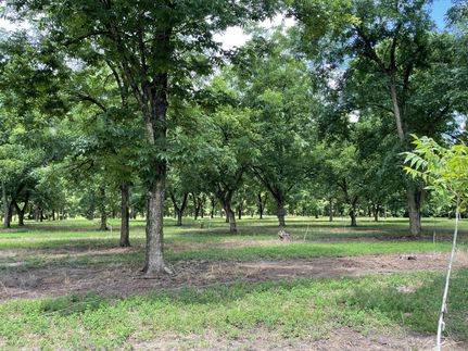 Property in Early County, Georgia