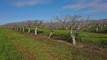 Property for sale in Madera County, California