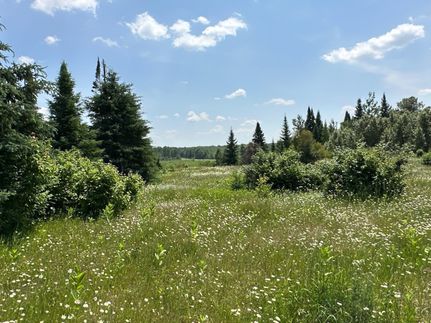Property in Cass County, Minnesota