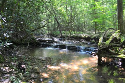 Property in Patrick County, Virginia