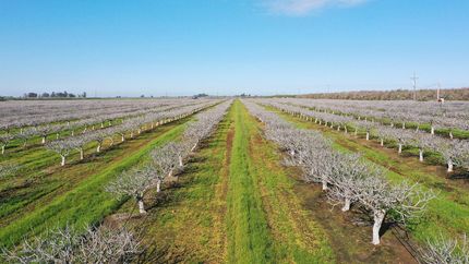 Property for sale in Madera County, California