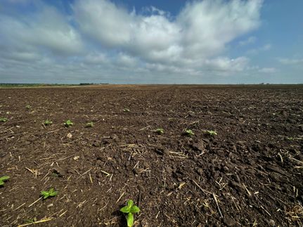 Property in Renville County, North Dakota