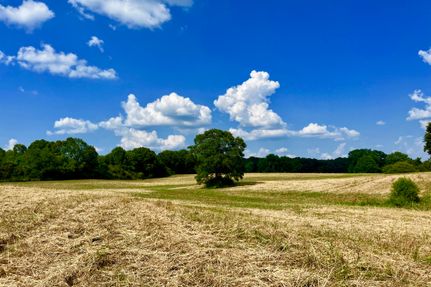 Property in Washington Parish, Louisiana