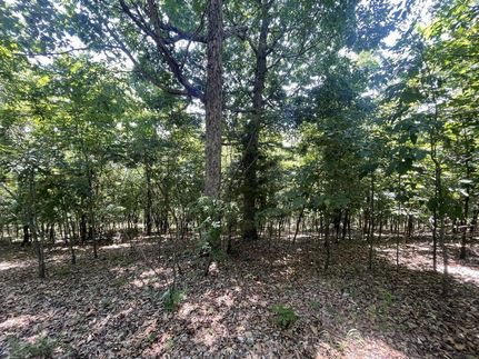 Property in Marion County, Arkansas