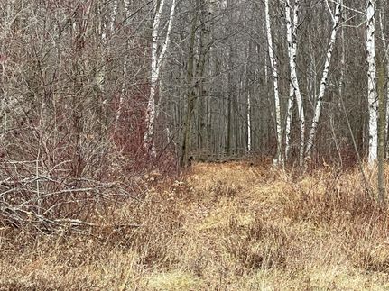 Property in Sanilac County, Michigan