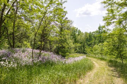 Property in Kent County, Michigan