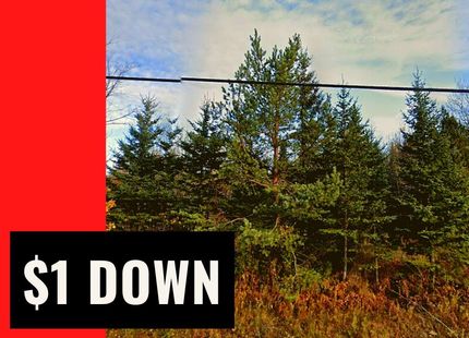 Property in Clinton County, New York